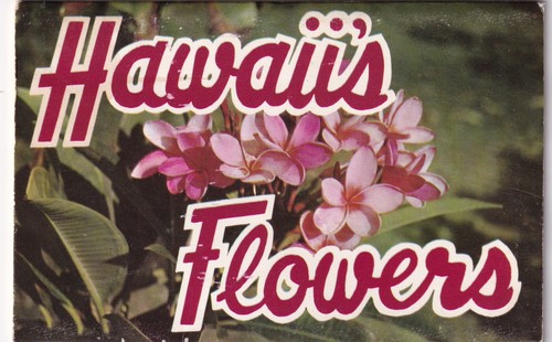 Vintage hawaii flowers - hawaii,