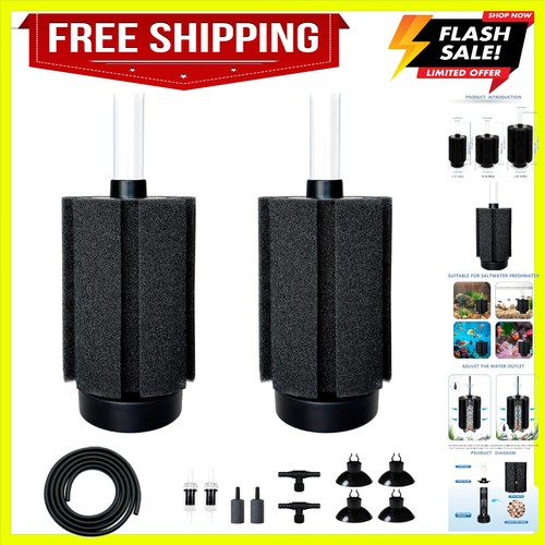 2pcs aquarium gallon fish - 2pcs,