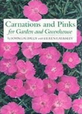 Carnations and Pinks for Garden and Greenhouse: Their True History and Comple.