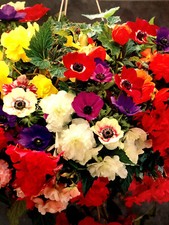 12 Hanging Basket Bulbs/Corms-4x Freesia,4x Ranunculus,4x Anemone Garden Plant