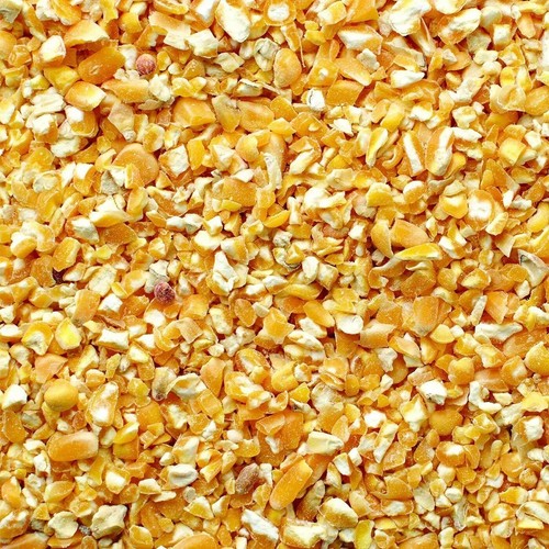 Kibbled maize chickens - maize, poultry