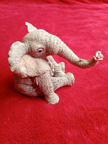 Pawprints tuskers clarence - pawprints,