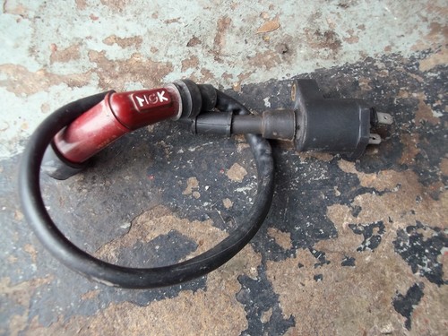 Pulse scout coil - pulse,