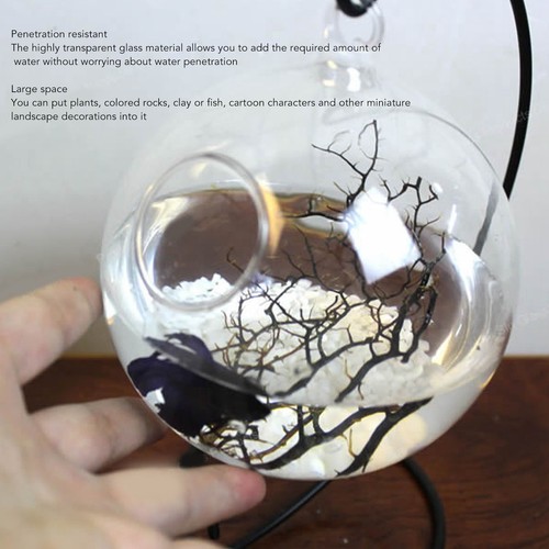 Hanging glass fish tank - °hanging,