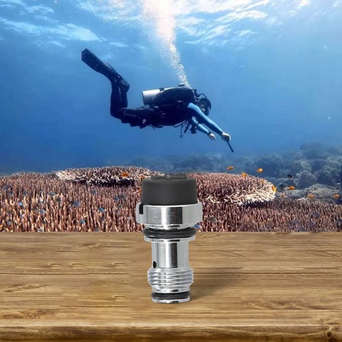 Diving gear essential reliable - gear,