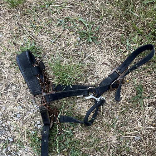 Control headcollar