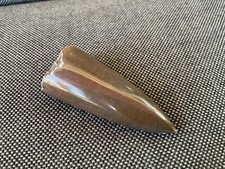 Beautifully Polished Belemnite