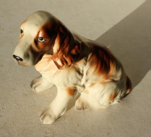 Cocker spaniel dog - cocker,