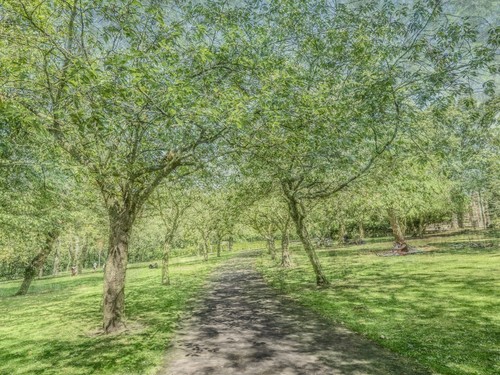 Summer avenue 12 - summer,