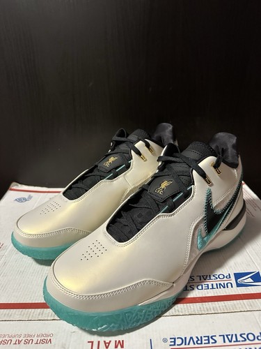 Nike zoom lebron nxxt gen - nike, ampd