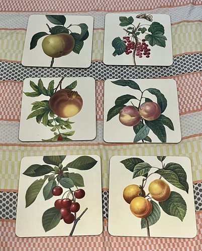 Set botanical fruits - of,