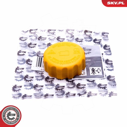 Fits esen skv 61skv021 - fits,