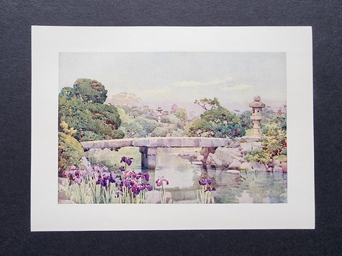 Antique 1908 print satake - print,