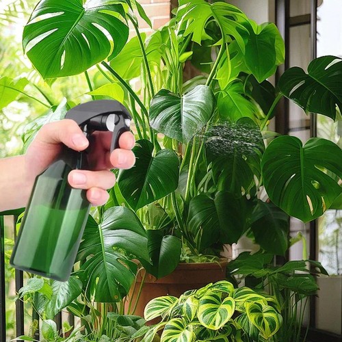 Plant mister spray - bottle, 10oz