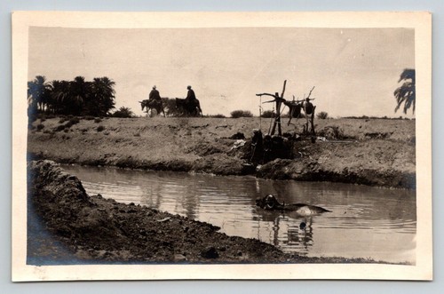 1890s egypt photo bedouin - egypt, men