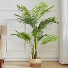 UK Artificial Palm Tree Fake