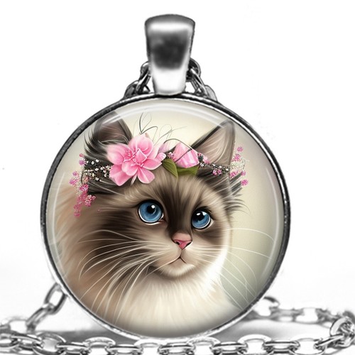 Ragdoll seal point cat floral - ragdoll,
