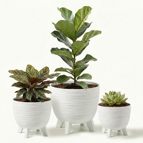 White plant pots - pots, legs