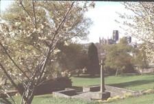 DURHAM CATHEDRAL FROM BEDE COLLEGE, County Durham - Vintage POSTCARD