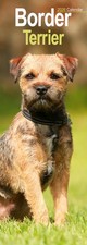 Border Terrier Slim 2026 Calendar  Slimline Wall Calendar  Dog Breed Gift  Plast