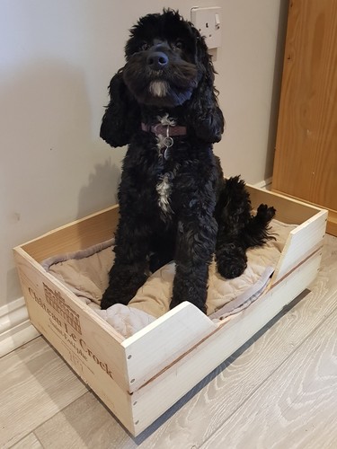 Reclaimed wooden wine box pet - reclaimed,