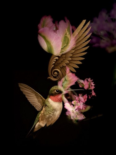 Limited edition fine art print - fine,
