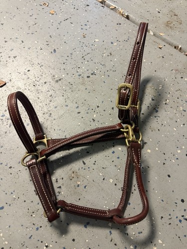 Walsh leather showman - leather,