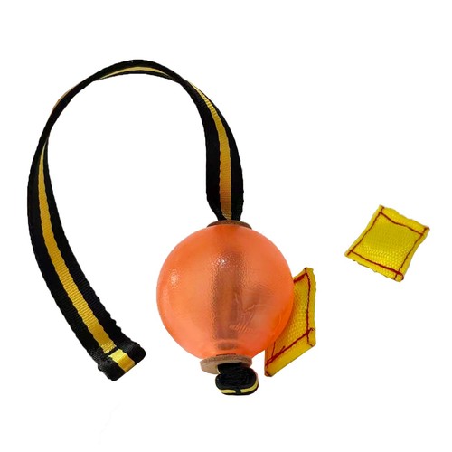 Magnetic dog training ball - dog, for