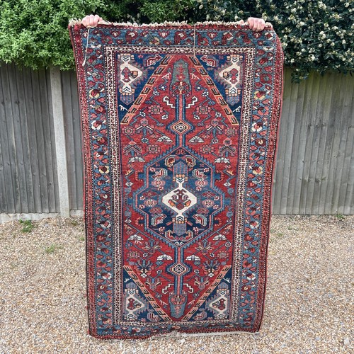 Blue red wool rug - blue,