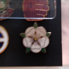 Yorkshire Rose Of York Mini