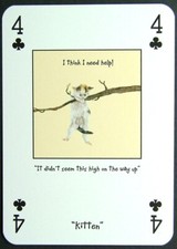 1 x playing card Magnificent