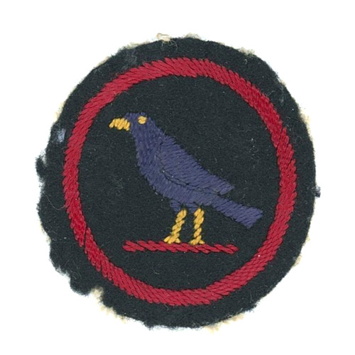 Early rare girl guides - girl,