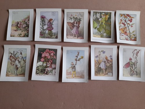Vintage flower fairies lot - vintage,