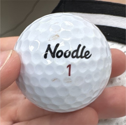 Noodle long soft - noodle,