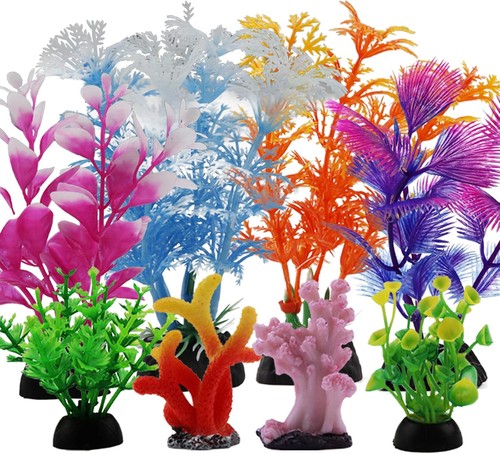 Fish tank decorations - decorations, plants