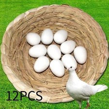 12x Solid Plastic Pigeon Eggs
