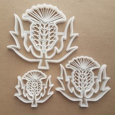 Thistle Flower Plant Shape