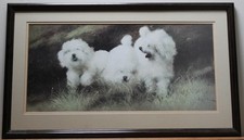 Bichon Frise Puppies - LARGE Vintage Framed Dog Print after Luigi Rocca