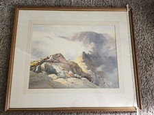watercolour paintings framed Vivienne Pooley
