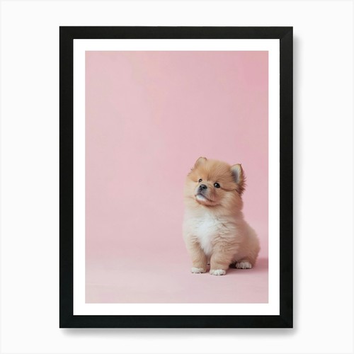 Pomeranian puppy generated - pomeranian, ai