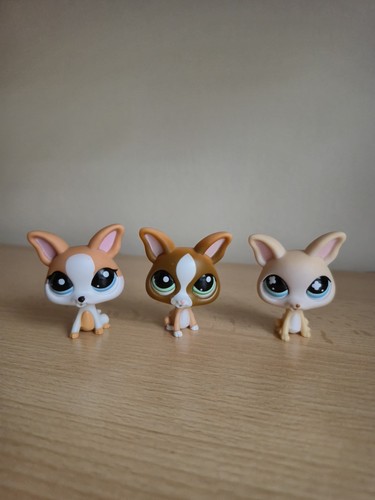 Littlest pet shops chihuahua - pet, 3
