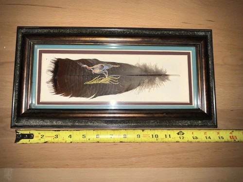 Wild turkey feather - turkey,