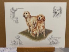 Nigel Hemming - Yellow Labrador Collage Open Edition Print  - In Stock