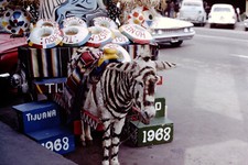 Feb 1968 painted donkey - 1968,