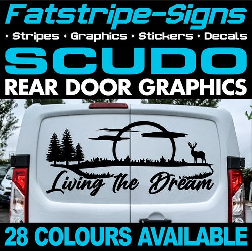 Fits fiat scudo graphics - fiat,