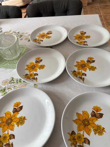 Six vintage retro - six, dinner