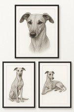 Lurcher Pencil Sketch Prints
