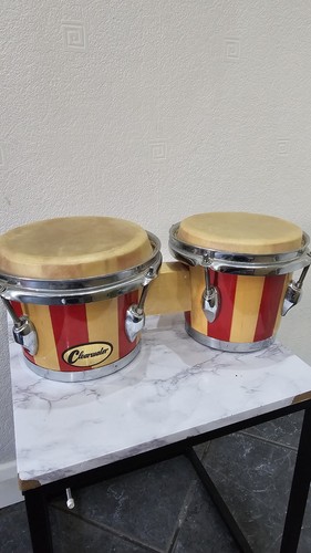 Clearwater bongo drums - bongo,