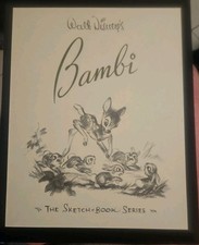 RARE Disney Limited Edition