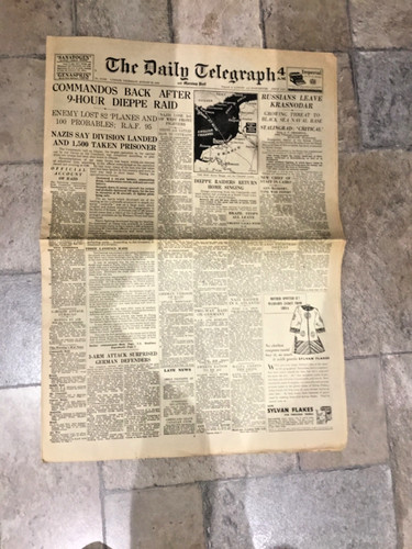 Vintage newspaper the daily - newspaper,